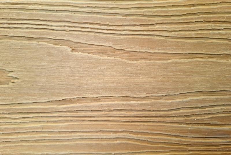 Birch (biely melir)