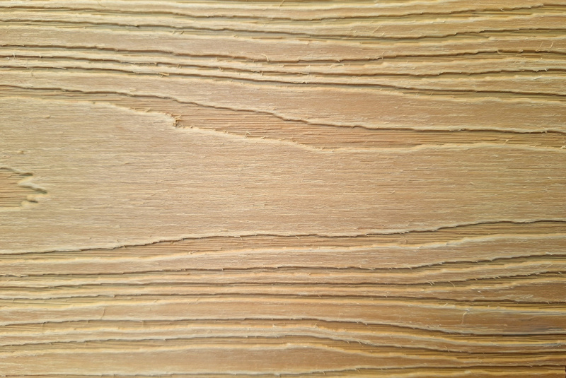 Birch (biely melir) Birch (biely melir)