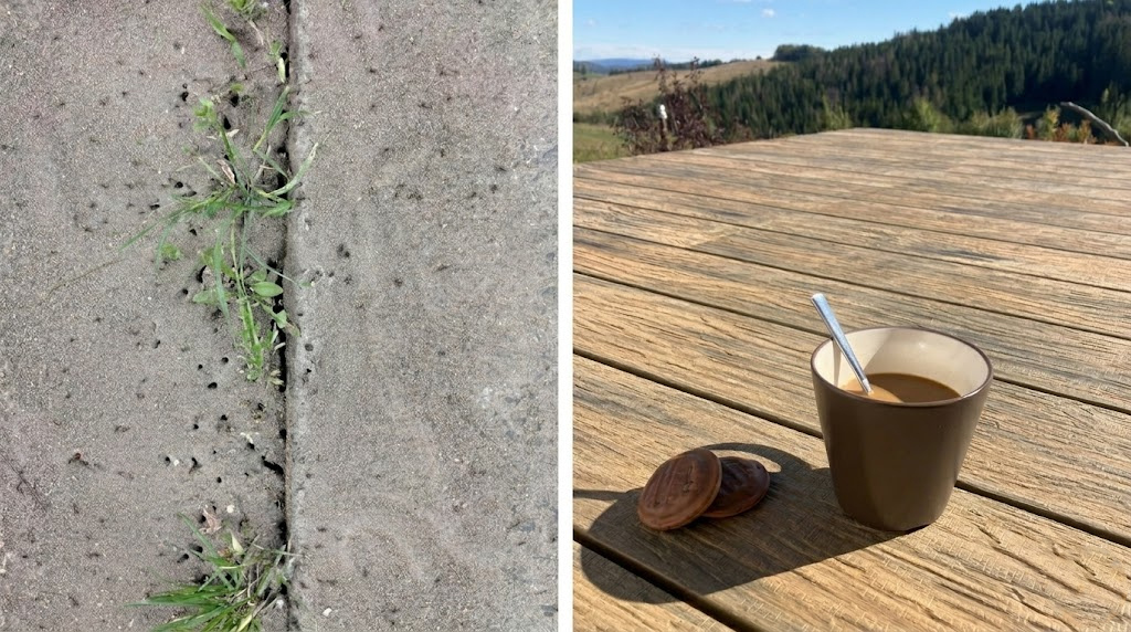 Radšej si vypite kávičku na novej terase ako trhať burinu pomedzi škáry