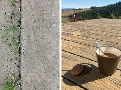 Nová terasa pri novostavbe: Prečo moderný drevoplast valcuje klasickú dlažbu?